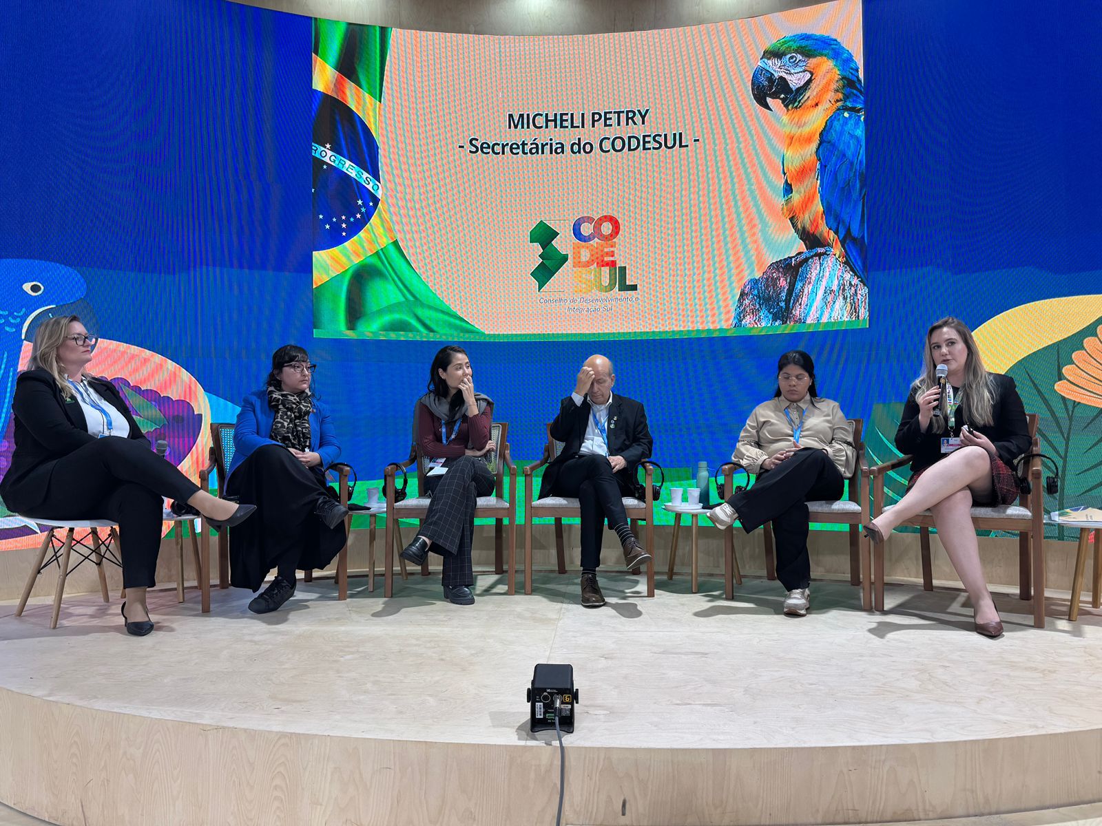 Read more about the article Secretária do Codesul apresenta projetos do conselho na COP-29